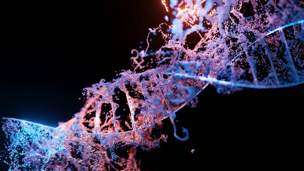 CRISPR and the Future of Genetic Engineering